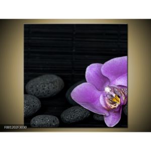 Černý obraz s orchidejí (F001202F3030)