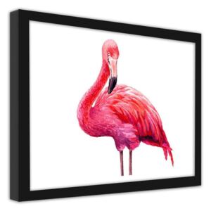 CARO Obraz v rámu - A Realistic Illustration Of A Pink Flamingo 40x30 cm Černá