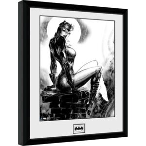 Obraz na zeď - DC Comics - Cat Woman
