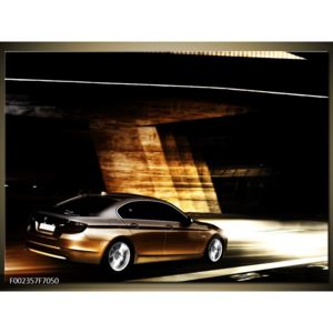 Obraz BMW v pohybu (F002357F7050)