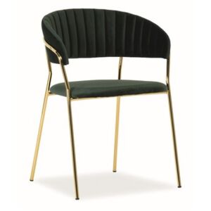 Židle LIRA zlatá/zelená