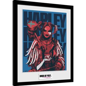 Obraz na zeď - Birds Of Prey: Podivuhodná proměna Harley Quinn - Harley Red