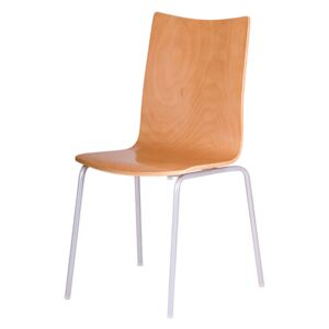 Office Pro Dřevěná židle RITA Barva nohou: Šedá, Barva dřeva: Buk