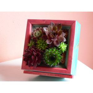 Dřevěný květináč - živý obraz na sukulenty se stojánkem Color Mix