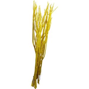 Větve Mitsumata 3ks-sv. 80cm - žluté