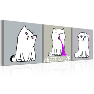 Obraz na plátně Bimago - Miezekatze: Cat Trio 120x40 cm