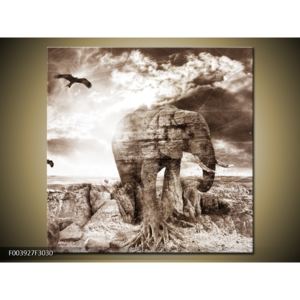 Obraz slona v krajině (F003927F3030)