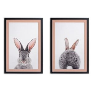 Sada 2 obrazů v černém rámu Madre Selva Rabbit, 30 x 40 cm
