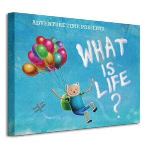Obraz na plátně Cartoon Network Adventure Time - What is life? 40x30 WDC92128