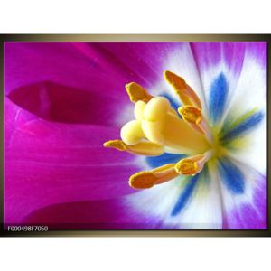 Obraz květinových pestíků (F000498F7050)