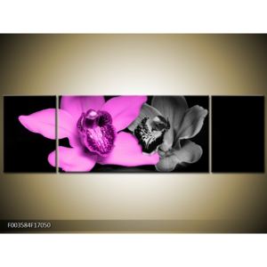 Obraz růžové orchideje (F003584F17050)
