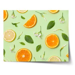 Plakát SABLIO - Citrus a květ 60x40 cm