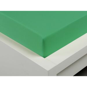 XPOSE® Jersey prostěradlo Exclusive jednolůžko - zelenkavá 90x200 cm