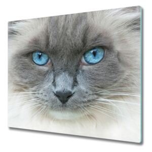 Deska kuchenna Kočka s modrými očima 60x52 cm