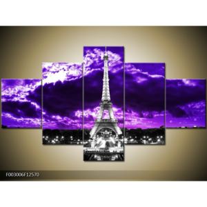 Obraz Eiffelovy věže v Paříži (F003006F12570)