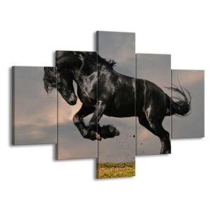 Vícedílný obraz Černý kůň ve skoku na louce 100x70 cm