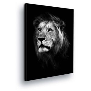 GLIX Obraz na plátně - Vznešený Lev 80x60 cm