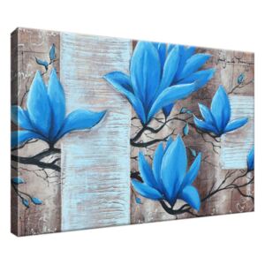 Obraz na plátně Nádherná modrá magnolie 30x20cm 3437A_1T