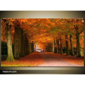 Obraz na plátně Podzimní alej, Tvar obrazu a rozměr Obdélník 120x70cm 2130 Kč