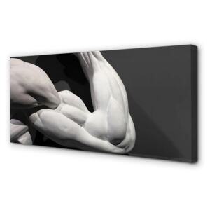 Obrazy na plátně Sval black and white 125x50cm