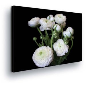 Obraz na plátně - Bílá Kalina Růže 100x75 cm