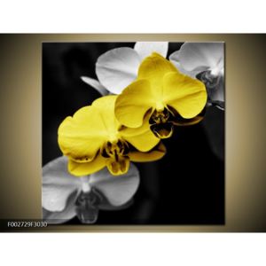 Obraz žlutých orchideí (F002729F3030)