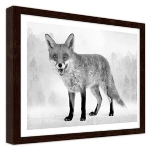 CARO Obraz v rámu - Gray Fox 2 40x30 cm Hnědá