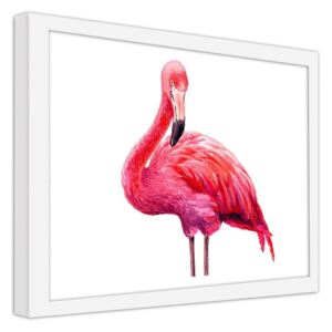 CARO Obraz v rámu - A Realistic Illustration Of A Pink Flamingo 40x30 cm Bílá