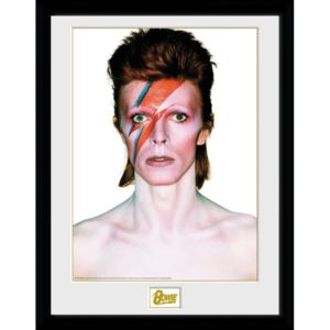 Obraz na zeď - David Bowie - Aladdin Sane