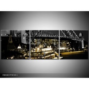 Krásný obraz nočního mostu (F001837F9030CC)