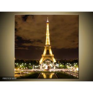 Obraz noční Eiffelovy věže (F002311F3030)