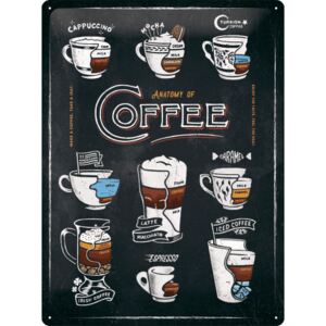 Postershop Plechová cedule Anatomy of Coffee, 40 × 30 cm