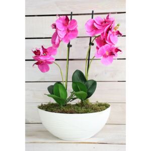 Umělá orchidej v bílém květináči - růžová (v. 49 cm)