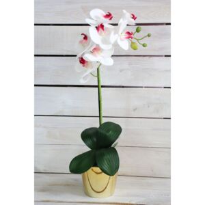 Umělá orchidej v zlatém květináči - bílo-růžová (v. 53 cm) moderní stylu