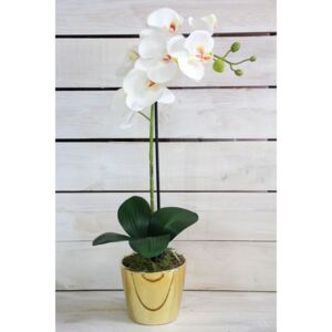 Umělá orchidej v zlatém květináči - bílá (v. 53 cm)