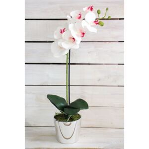Umělá orchidej v stříbrném květináči - bílo-růžová (v. 53 cm)