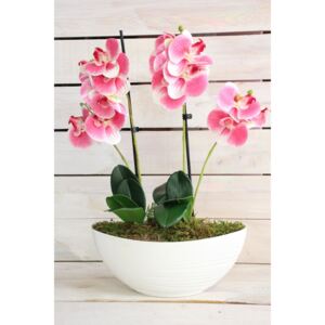 Umělá orchidej v bílém květináči - růžovo-bílá (v. 49 cm)