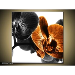Obraz žluté orchideje (F002057F3030)