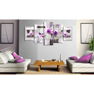 Obraz fialová orchidej - With violet accent