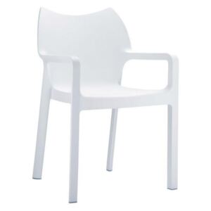 Jídelní židle s područkami Demy (SET 2 ks) (Jídelní židle s područkami Demy (SET 2 ks), do 2 týdnů)