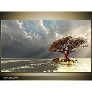 Obraz na plátně Strom na ostrůvku, Tvar obrazu a rozměr Obdélník 120x70cm 2130 Kč