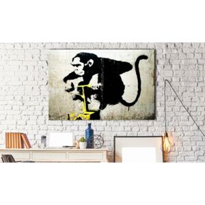 Obraz nezbedná opice - Monkey Detonator by Banksy