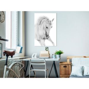 Obraz bílý kůň - White Horse