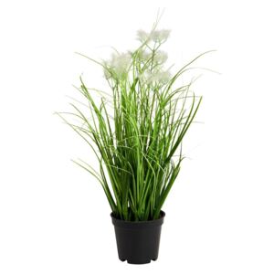 FLORISTA Svazek trávy v květináči 8 cm