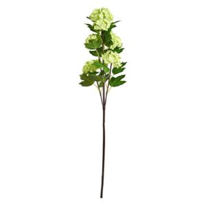 FLORISTA Větvička kalina 60 cm - zelená