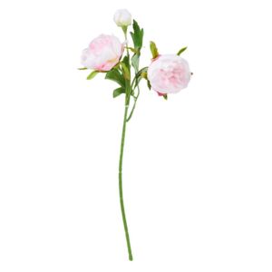 FLORISTA Pryskyřník malý 29 cm - pastelově růžová