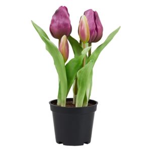 FLORISTA Tulipány "Real Touch" v květináči - fialová