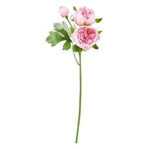 FLORISTA Pryskyřník malý 29 cm - sv. růžová
