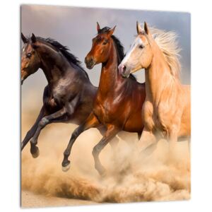 Obraz - Divocí koně (30x30 cm)