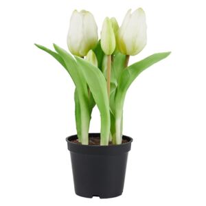 FLORISTA Tulipány "Real Touch" v květináči - krémová